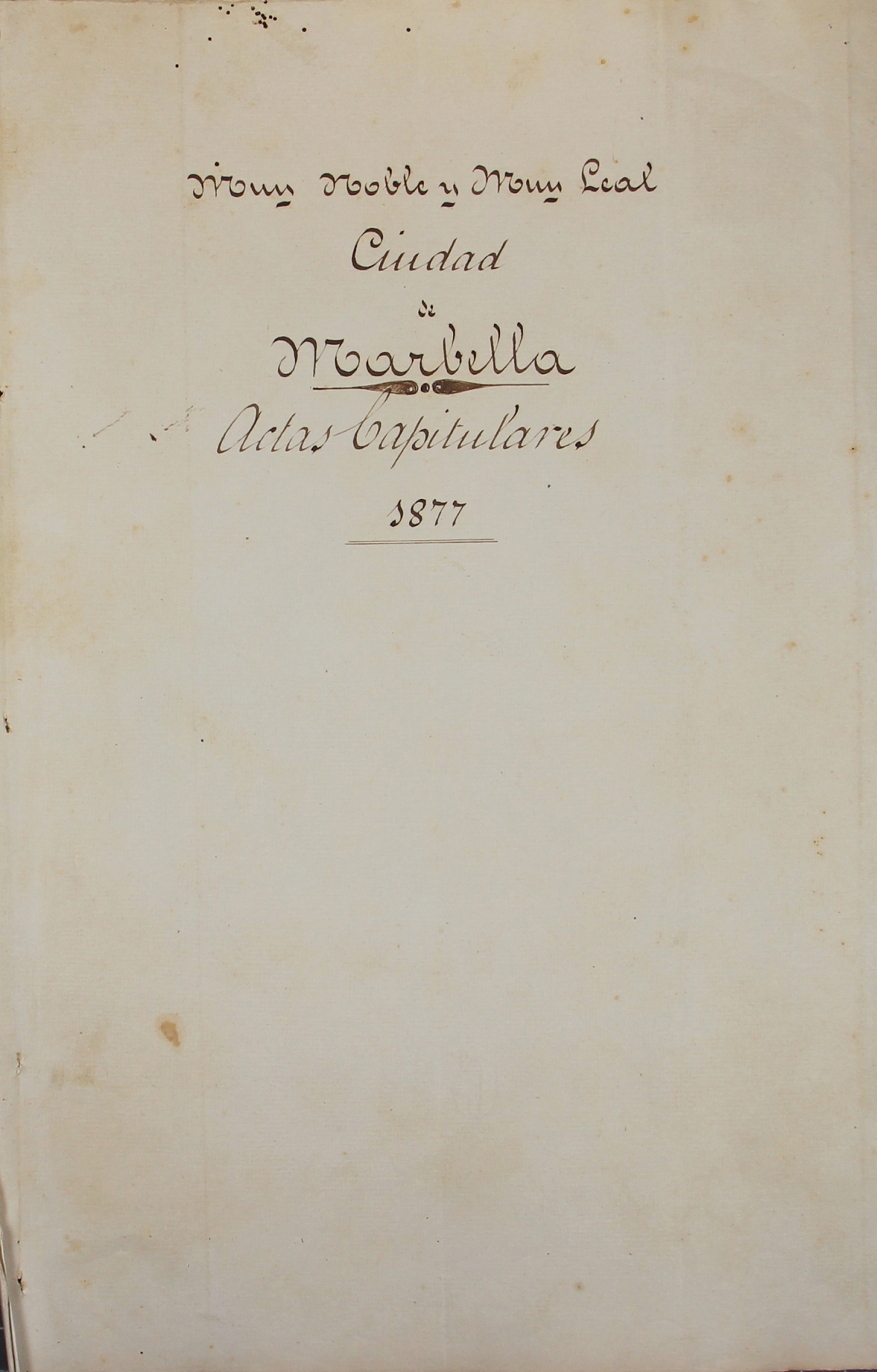 DIGITALIZADAS ACTAS CAPITULARES 1877 A 1885
